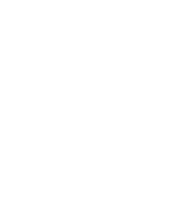 CSS